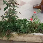 krevet i doručak Mateja 3*