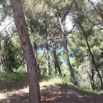 krevet i doručak Mateja 3*