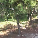 krevet i doručak Mateja 3*