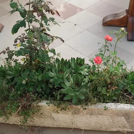 Bed and Breakfast Mateja 3*