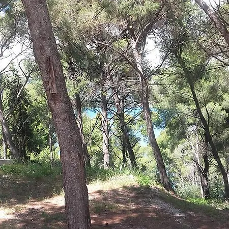 Bed and Breakfast Mateja 3*