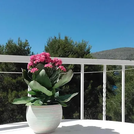 Mateja 3* Donji Okrug (Ciovo)