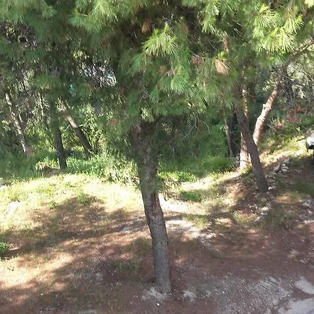 Bed and Breakfast Mateja 3*